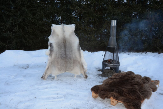 Rentierfell Golden Sunshine XXXL